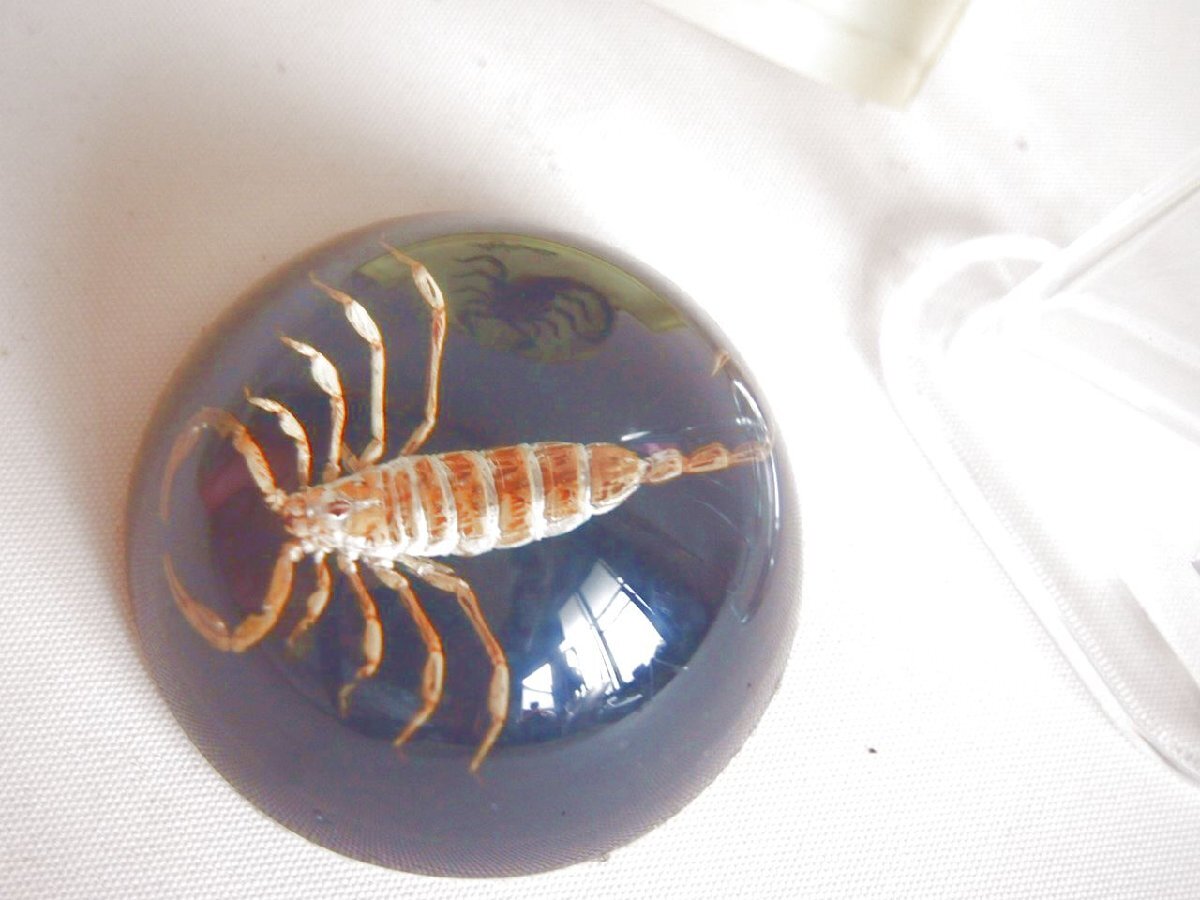 item_image_10