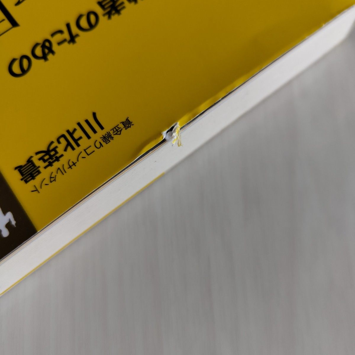 中小企業経営者のための絶対にカネに困らない資金繰り完全バイブル （会社経営ＮＥＯ新マニュアル） 川北英貴／著