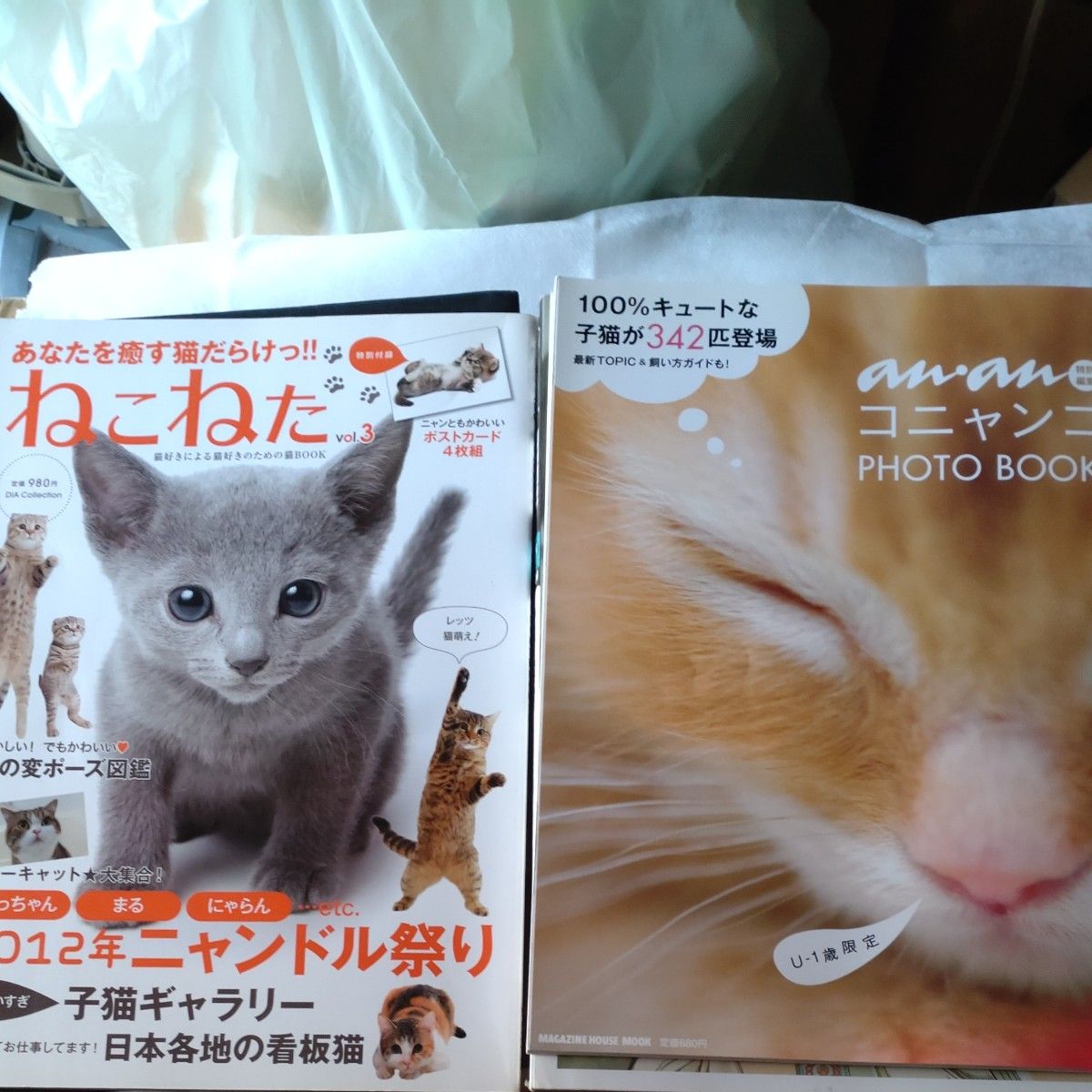 古本雑誌パンフいろいろ19冊