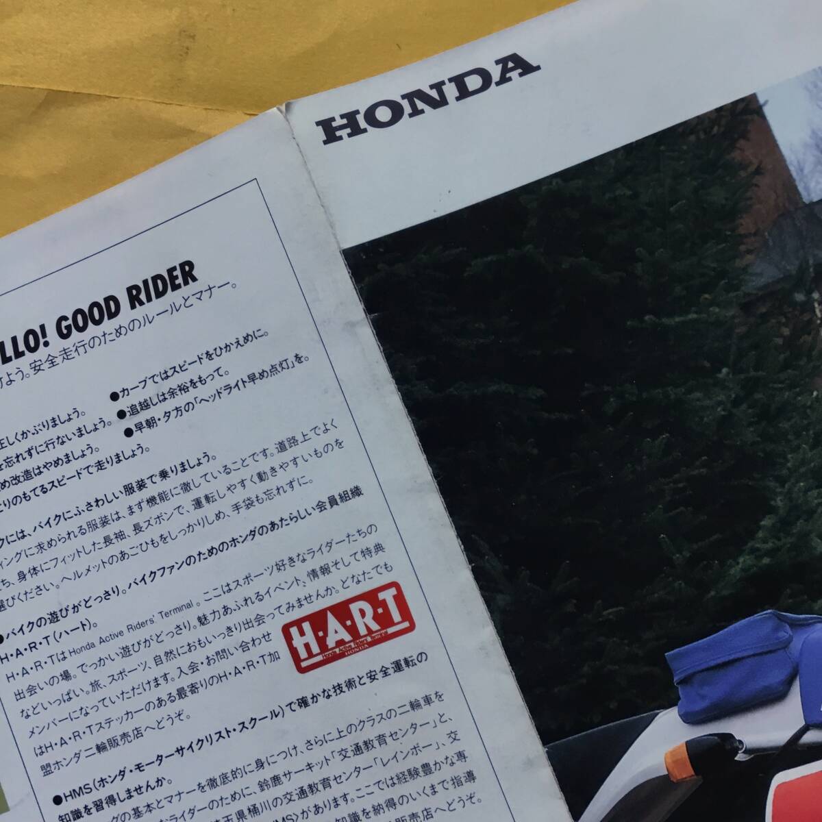 HONDA XLR250R【カタログ】（ホンダ 希少 コレクション 本田技研）_画像7