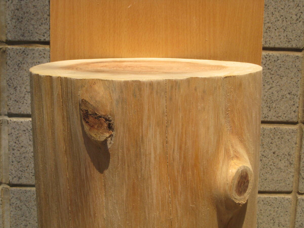 NR14 杉丸太 直径24cm×高さ20cm 飾り台 丸太椅子 インテリア ディスプレイ 薪割り台 作業台 アウトドア ガーデニング 彫刻 DIY ペット