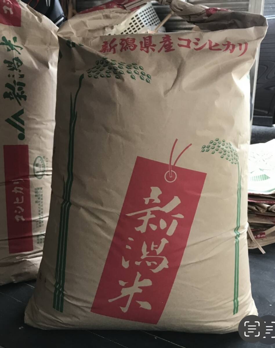 超美味しい〜令和5年 ☆新潟産コシヒカリ 25kg　_画像1