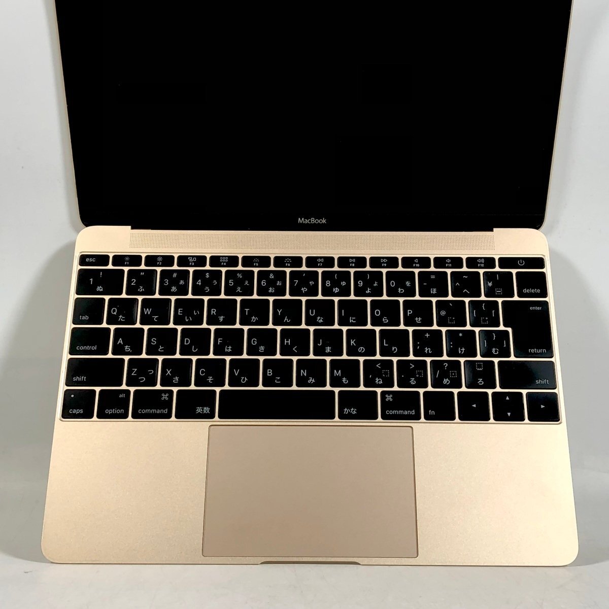 動作確認済み MacBook 12インチ (Early 2015) Core M 1.1GHz/8GB/SSD 256GB ゴールド MK4M2J/A_画像3