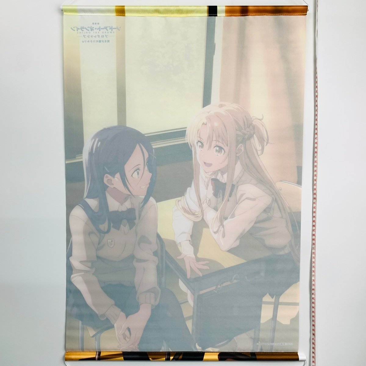 中古品 ソードアート・オンライン プログレッシブ 冥き夕闇のスケルツォ アニメイト アスナ&ミト B2タペストリー_画像5