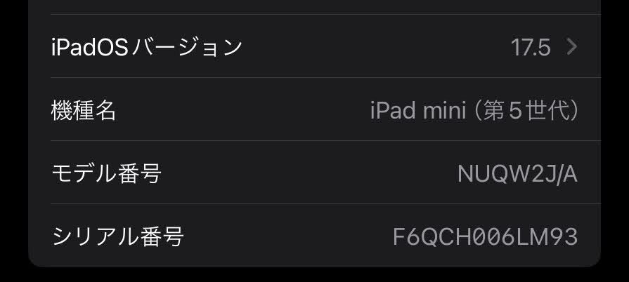 iPad mini 第5世代 Wi-Fi 64GB スペースグレイ