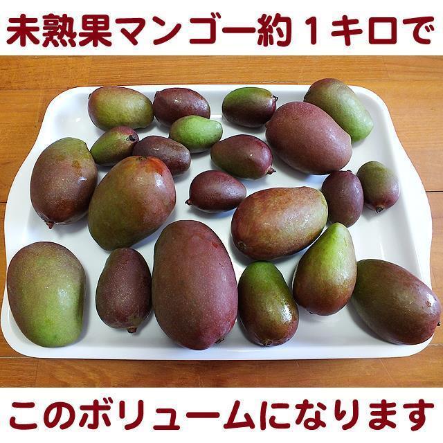 【送料込】沖縄産摘果マンゴー約１０キロ┃未熟果マンゴー┃グリーンマンゴー┃完熟にはならないマンゴーですの画像3