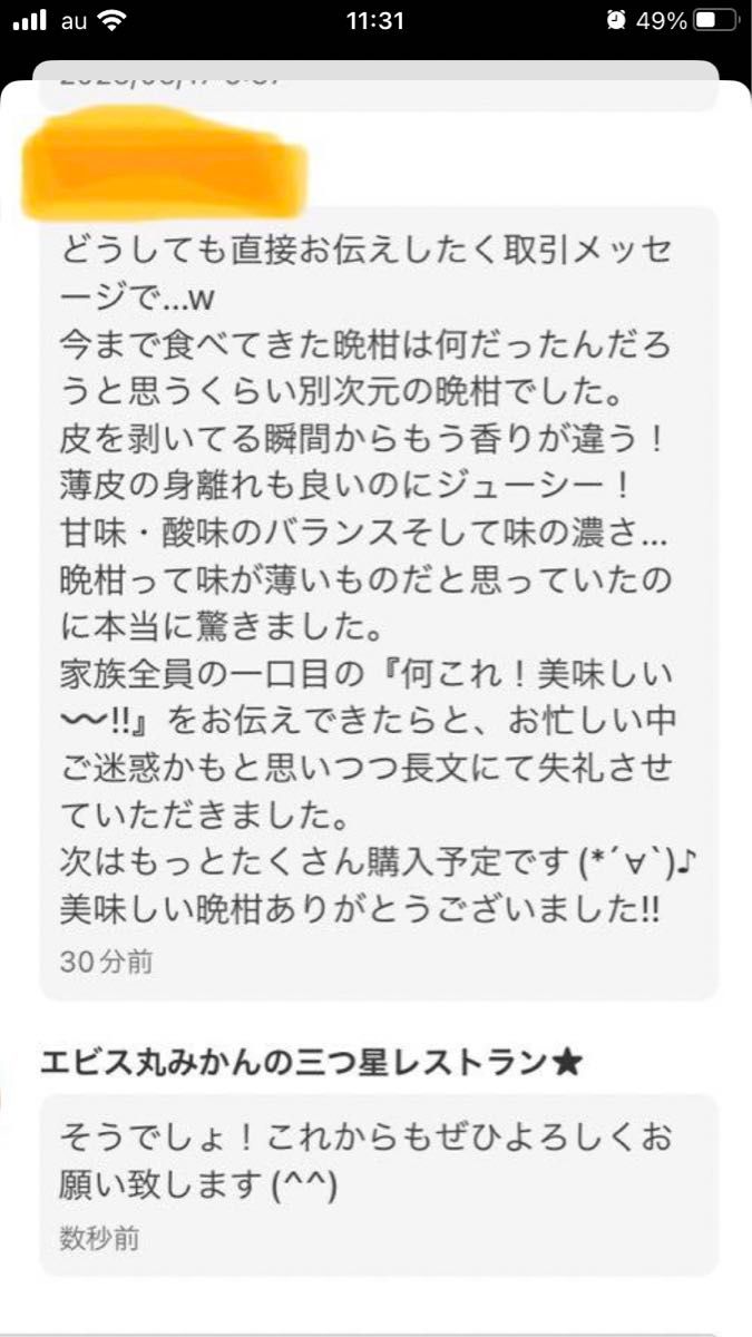 河内晩柑　家庭用　糖度高め　味濃いめ　樹齢20年　美生柑　和製グレープフルーツ