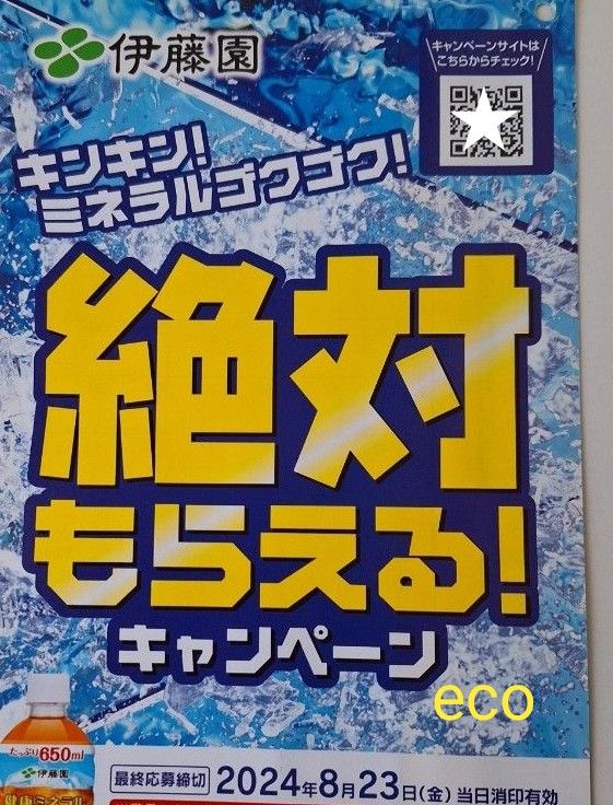 伊藤園　絶対もらえるキャンペーン　健康ミネラル麦茶　応募マーク36点　貼付なし応募用紙2枚　2024年応募券　点数ラベル　専用封筒