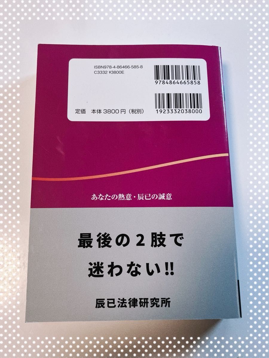 【最終お値下げ】肢別本1  司法試験 予備試験 【憲法】2023年対策  辰已法律研究所