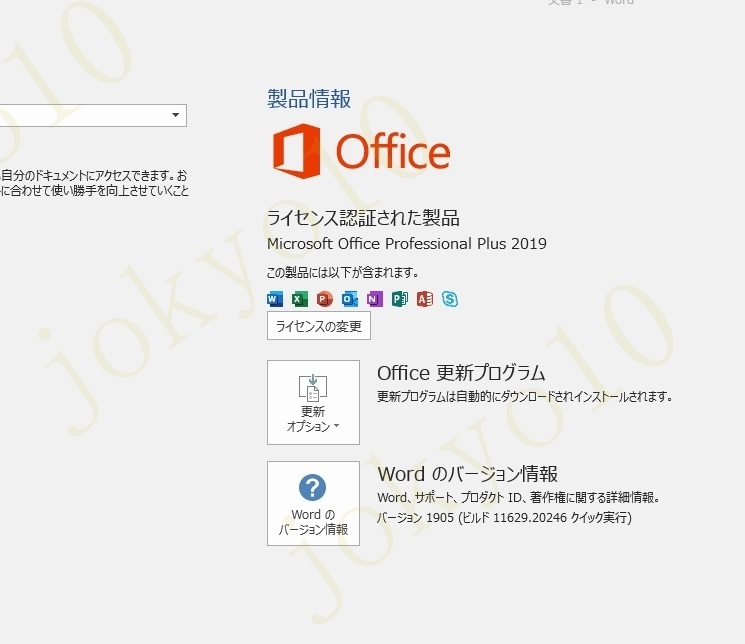 Office 2019 Professional Plus プロダクトキー 正規認証 日本語版 32/64bit版対応 Access Word Excel PowerPoint Outlook_画像2