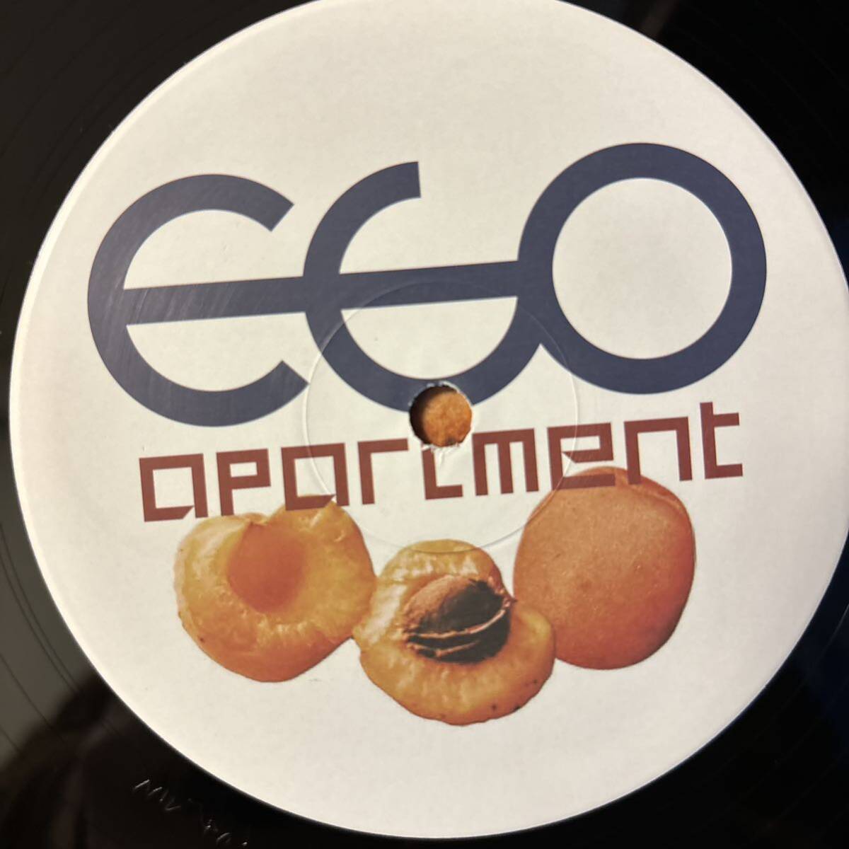 ego apartment レコード LP エゴ・アパートメント エゴアパ vinyl アナログ_画像6