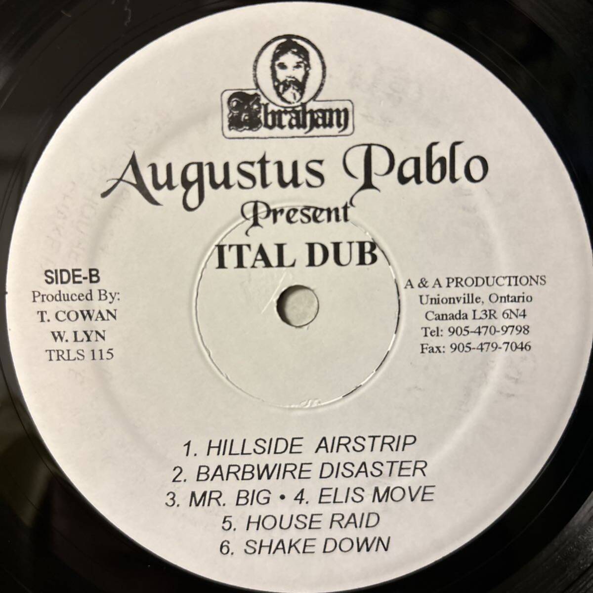 Augustus Pablo Ital Dub レコード LP ダブ オーガスタス・パブロ King Tubby キング・タビー raggae レゲエ vinyl アナログ_画像4