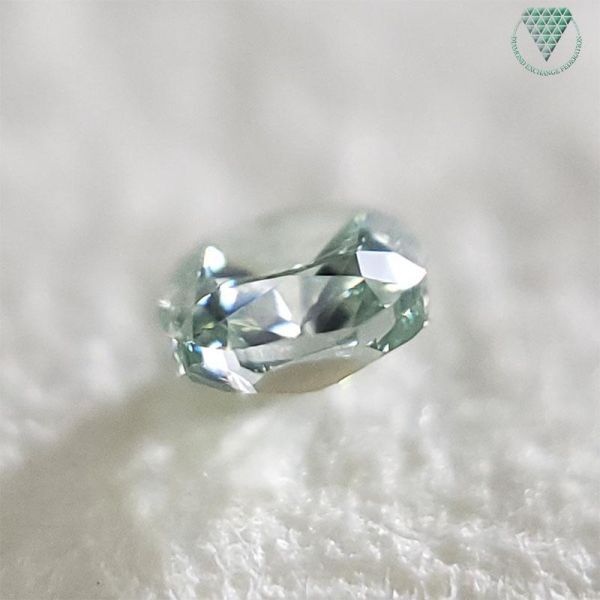 0.046ct Fancy Intense Green VS1 CGL 天然 イエロイッシュ グリーン ダイヤモンド クッション シェイプ DIAMOND EXCHANGE FEDERATION_DIAMOND EXCHANGE FEDERATION