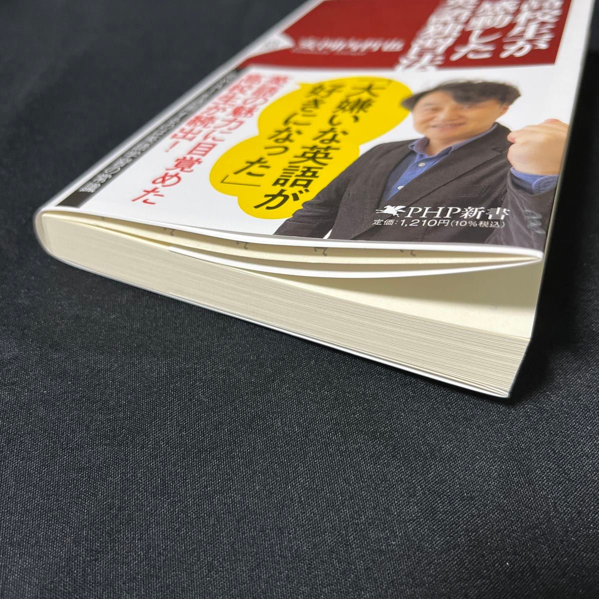 高校生が感動した英語独習法 （ＰＨＰ新書　１３８３） 安河内哲也／著