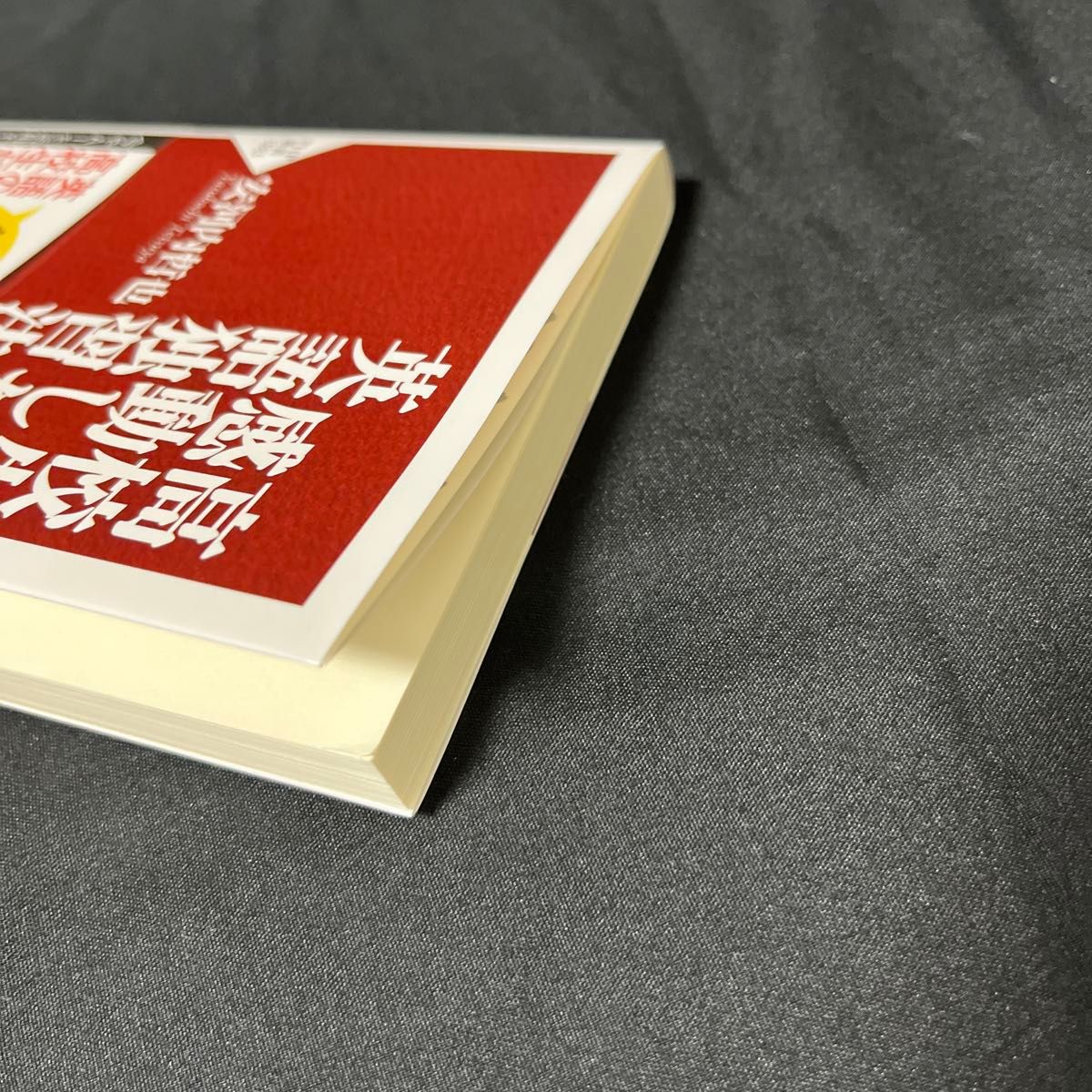 高校生が感動した英語独習法 （ＰＨＰ新書　１３８３） 安河内哲也／著