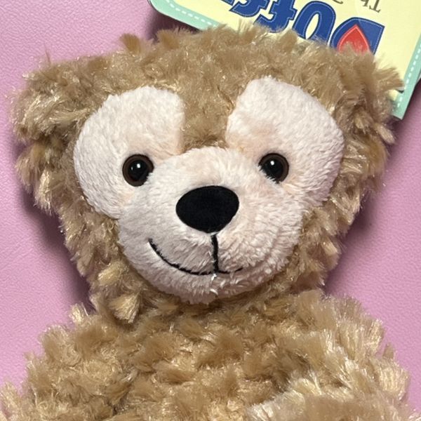 アメリカ ディズニー ストア ダッフィー 8インチ ぬいぐるみ 8inch Duffy the Disney Bear US Disney Store # WDWの画像5