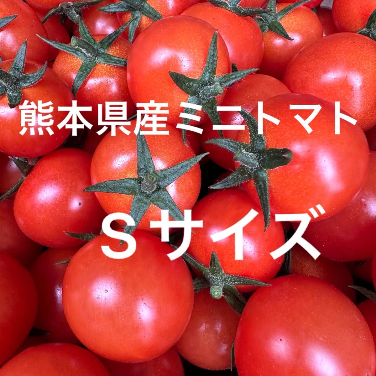 熊本県産 ミニトマト Sサイズ 900g 新品種 TYみわく