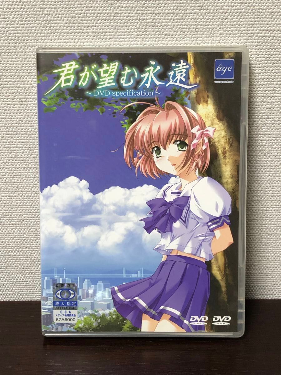 君が望む永遠 DVD specification パソコンゲーム PCゲーム 君が望む永遠 DVD specification パソコンゲーム PCゲーム