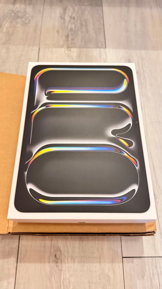 新品未開封 新品 iPad Pro 11インチ 2024(M4) アップルストア 新品未開封 新品 iPad Pro 11インチ 2024(M4) アップルストア