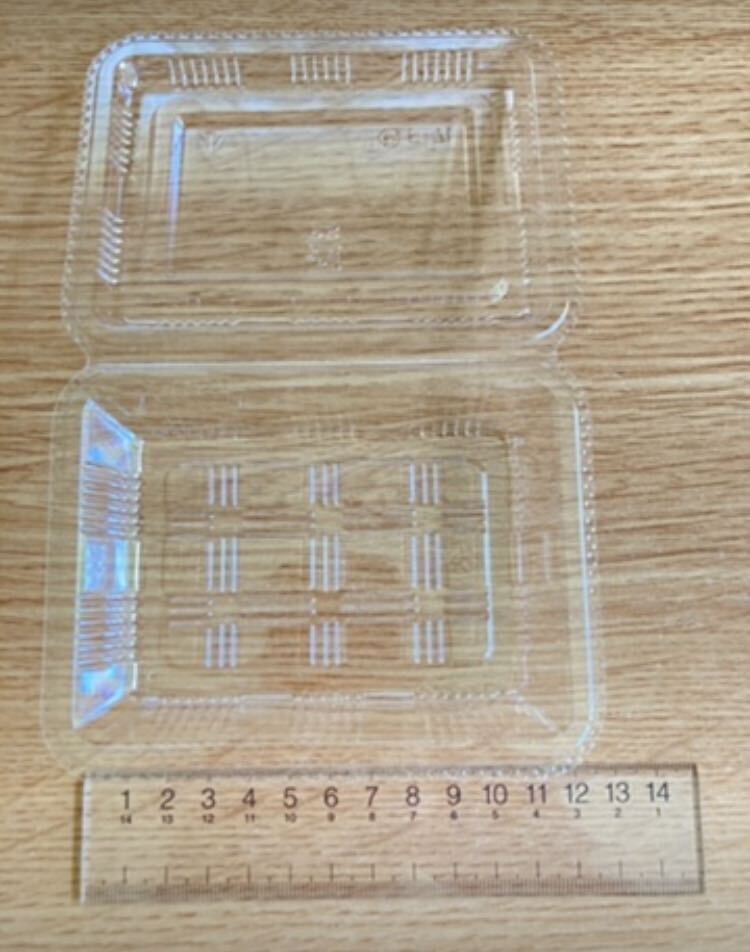 2パック メカルドニア ゴールドダスト 抜き苗 グラウンドカバーの画像5