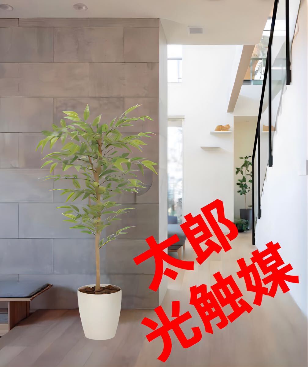 光の楽園　光触媒　人工観葉植物　ウォールグリーン　フェイクグリーン　ソヨゴ90