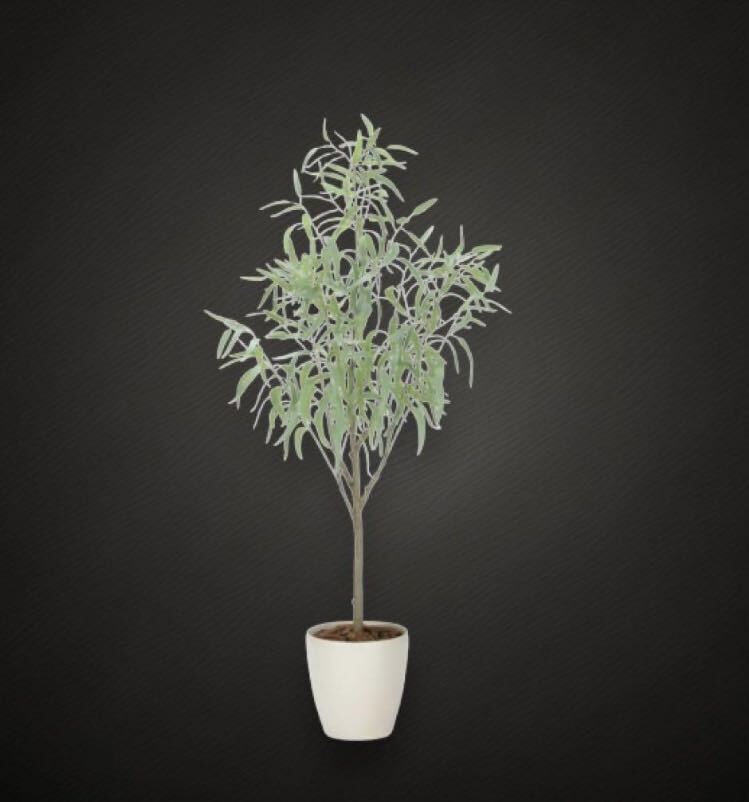 item_image_2