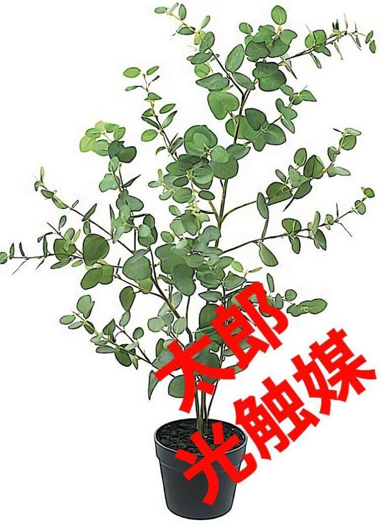 光触媒 人工観葉植物 ウォールグリーン フェイクグリーン 光触媒 人工観葉植物 ウォールグリーン フェイクグリーン