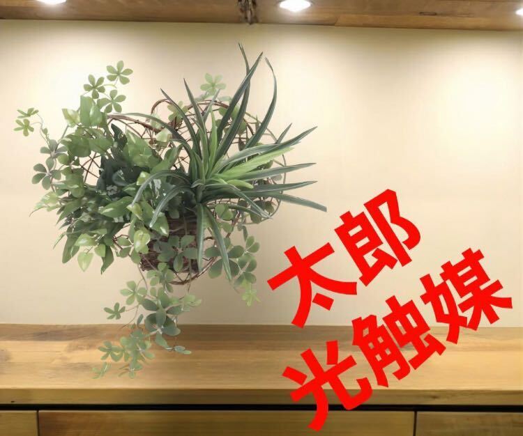 光の楽園　光触媒　人工観葉植物　ウォールグリーン　フェイクグリーン　壁掛ケミックスグリーン_画像1