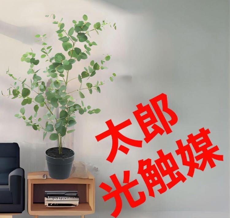 光触媒 人工観葉植物 ウォールグリーン フェイクグリーン 光触媒 人工観葉植物 ウォールグリーン フェイクグリーン