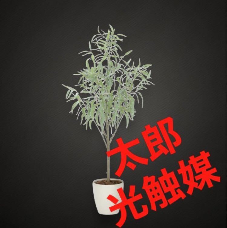 光の楽園 光触媒 人工観葉植物 フェイクグリーン フレッシュ 光の楽園 光触媒 人工観葉植物 フェイクグリーン フレッシュ