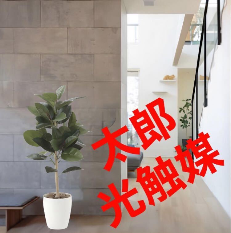 光の楽園 光触媒 人工観葉植物 ウォールグリーン フェイク 光の楽園 光触媒 人工観葉植物 ウォールグリーン フェイク
