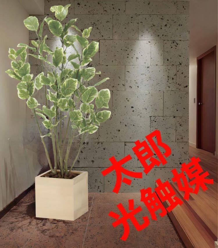 Yahoo!オークション - 光の楽園 光触媒 人工観葉植物 ウォール Yahoo!オークション - 光の楽園 光触媒 人工観葉植物 ウォール