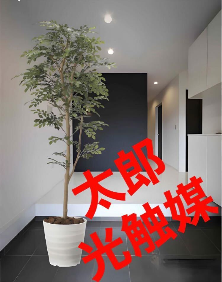 光の楽園　光触媒　人工観葉植物　ウォールグリーン　フェイクグリーン　トネリコ1.6