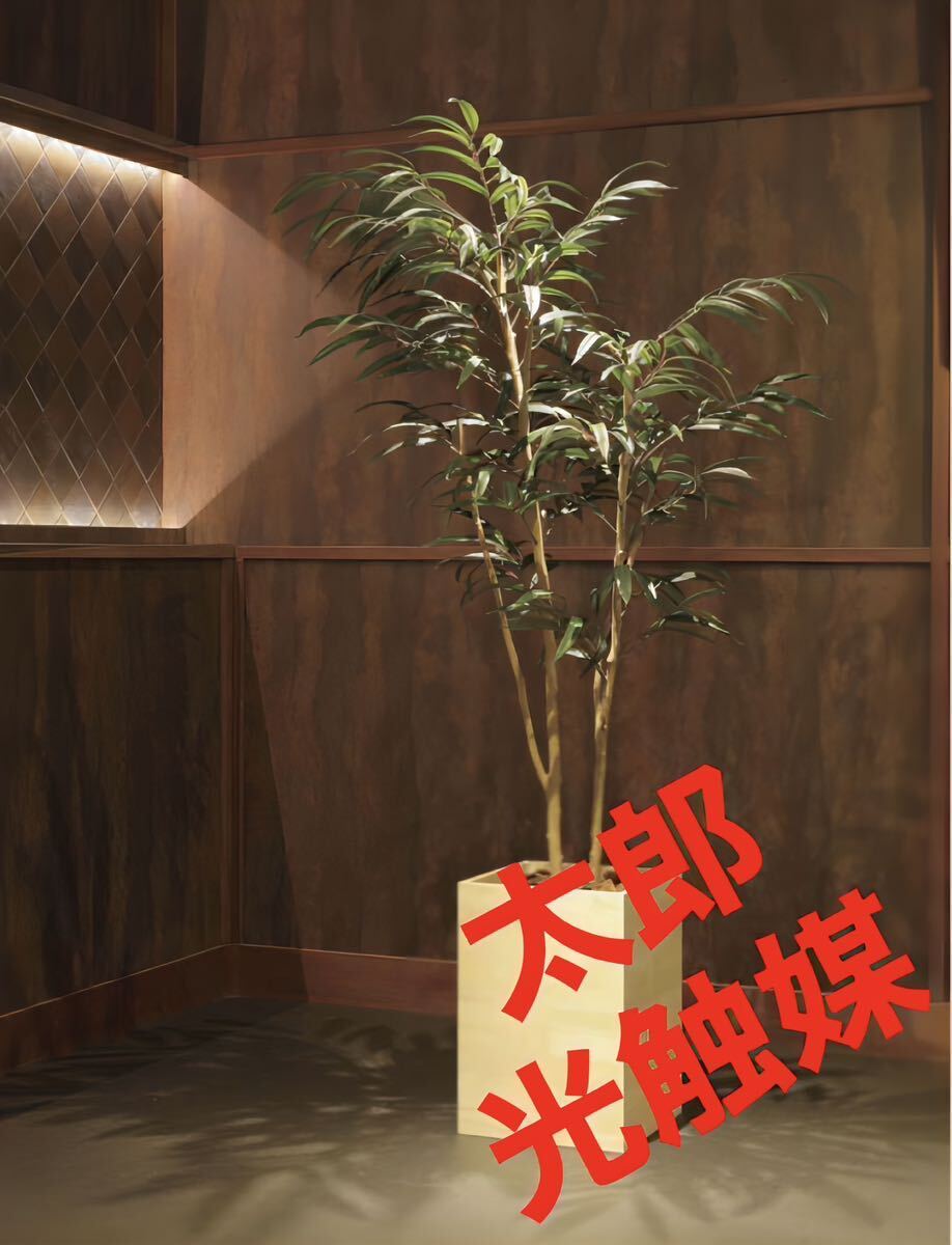 光の楽園 光触媒 人工観葉植物 フェイクグリーン ウッドボックス 光の楽園 光触媒 人工観葉植物 フェイクグリーン ウッドボックス