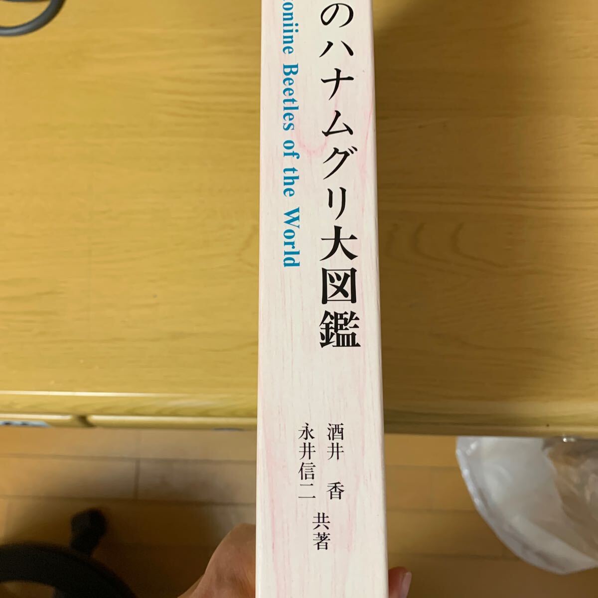 絶版　貴重　むし社　世界のハナムグリ大図鑑　送料無料_画像2