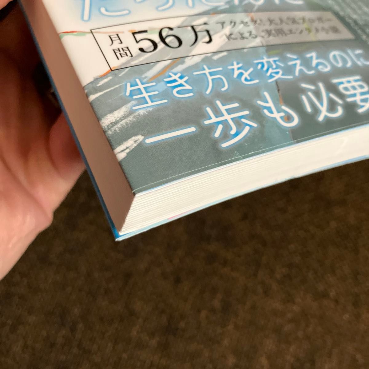 私はただ、「生きてる～！」って叫びたいだけだったんだ　寝たきりになった私が、ベッドの上でたどりついた半径０メートルの幸福論 