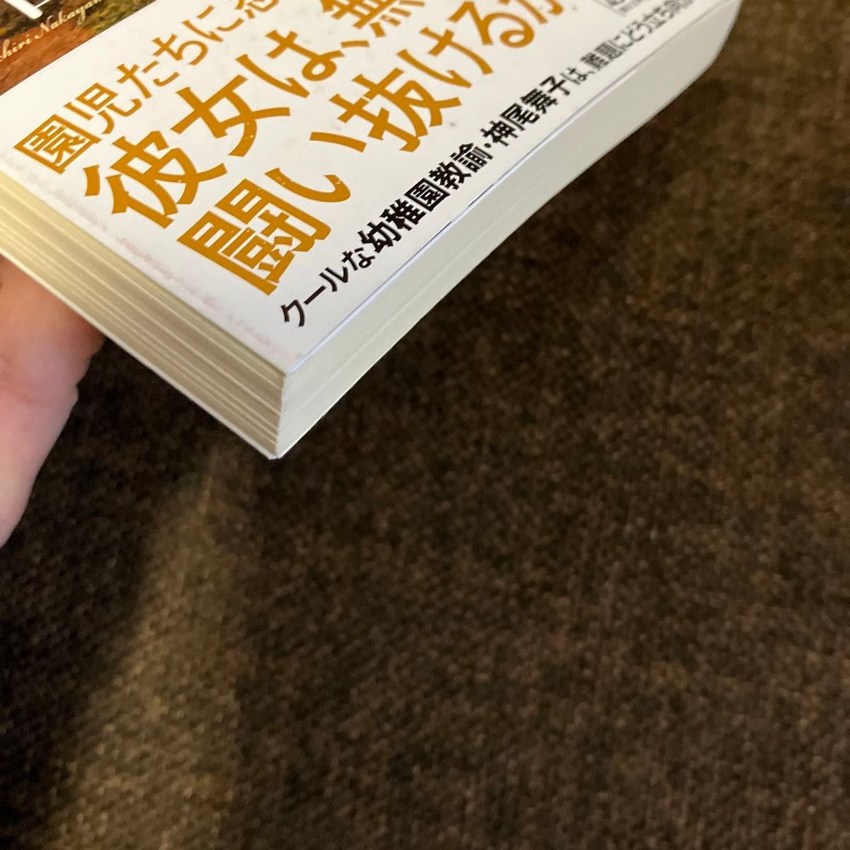 ☆2冊セット☆騒がしい楽園 （朝日文庫　な５０－２） 中山七里／著&夜がどれほど暗くても　　中山七里