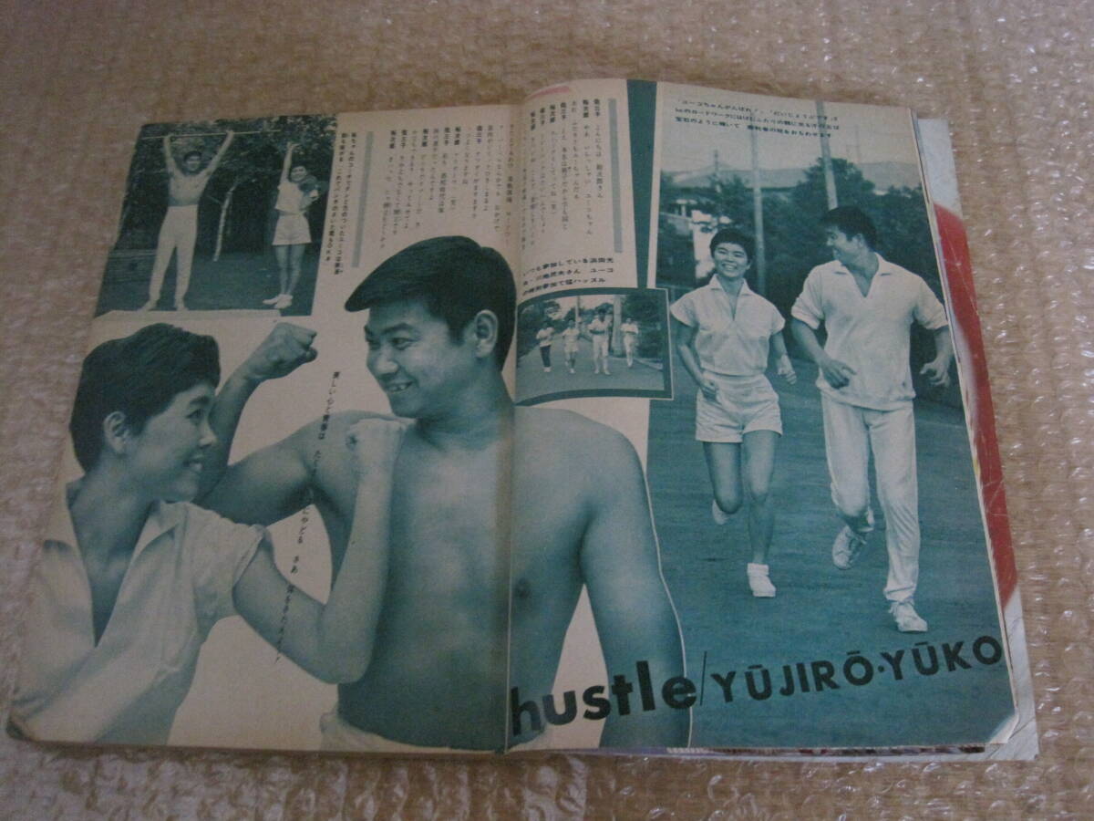 明星 1964年 昭和39年 9月号◆本間千代子 西郷輝彦 松本剣四郎 三田明 梶光夫 安達明 久保浩 弘田三枝子 橋幸夫 長沢純 浜田光夫 北原謙二_画像5