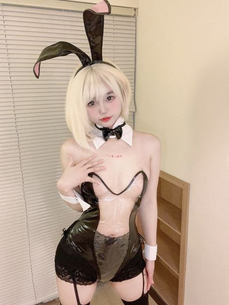 nN018B costume play clothes .. bunny girl Halloween Event change equipment party costume [ bunny girl gorgeous 5 point set ] Night wear 