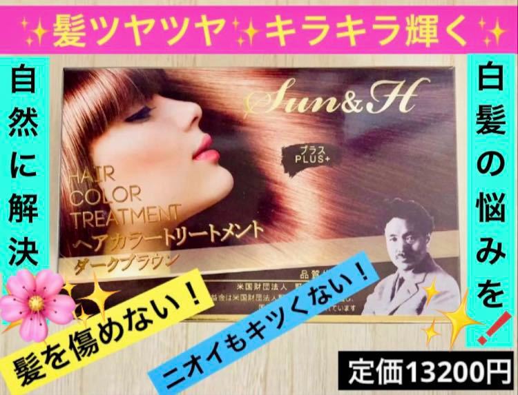 【送料無料！】Sun&H ヘアーカラートリートメント ダークブラウン 野口英世研究所 匿名配送♪_画像1