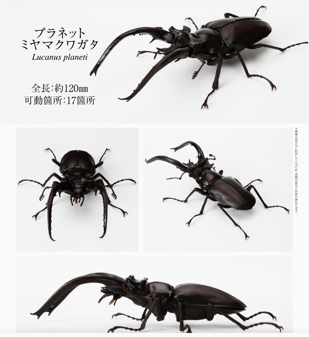 くわがた06 全5種 いきもの大図鑑 ヒラタクワガタ他 未開封② くわがた06 全5種 いきもの大図鑑 ヒラタクワガタ他 未開封②