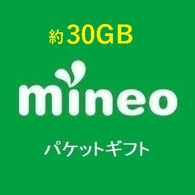 mineo マイネオ　パケットギフト コード 約 30GB 9999MB×3_画像1