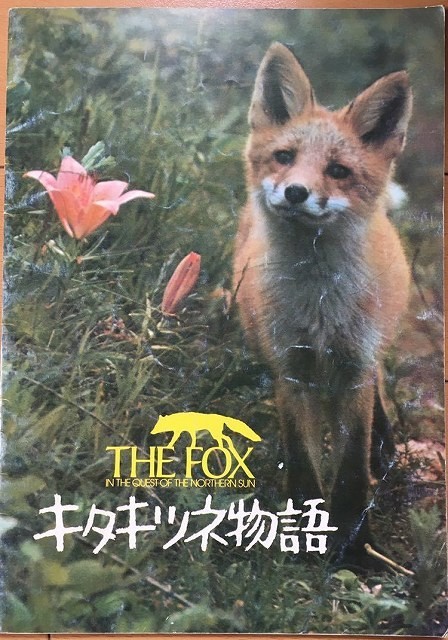 【パンフレット】 THE FOX IN THE QUEST THE NORTHERN SUN キタキツネ物語_画像1