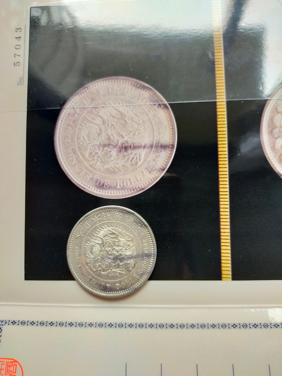 1円銀貨　 明治8年　貿易銀　本物保証 　日本貨幣商鑑定書付　一圓銀貨　重さ約27.2ｇ　極美品　稀少品_画像10