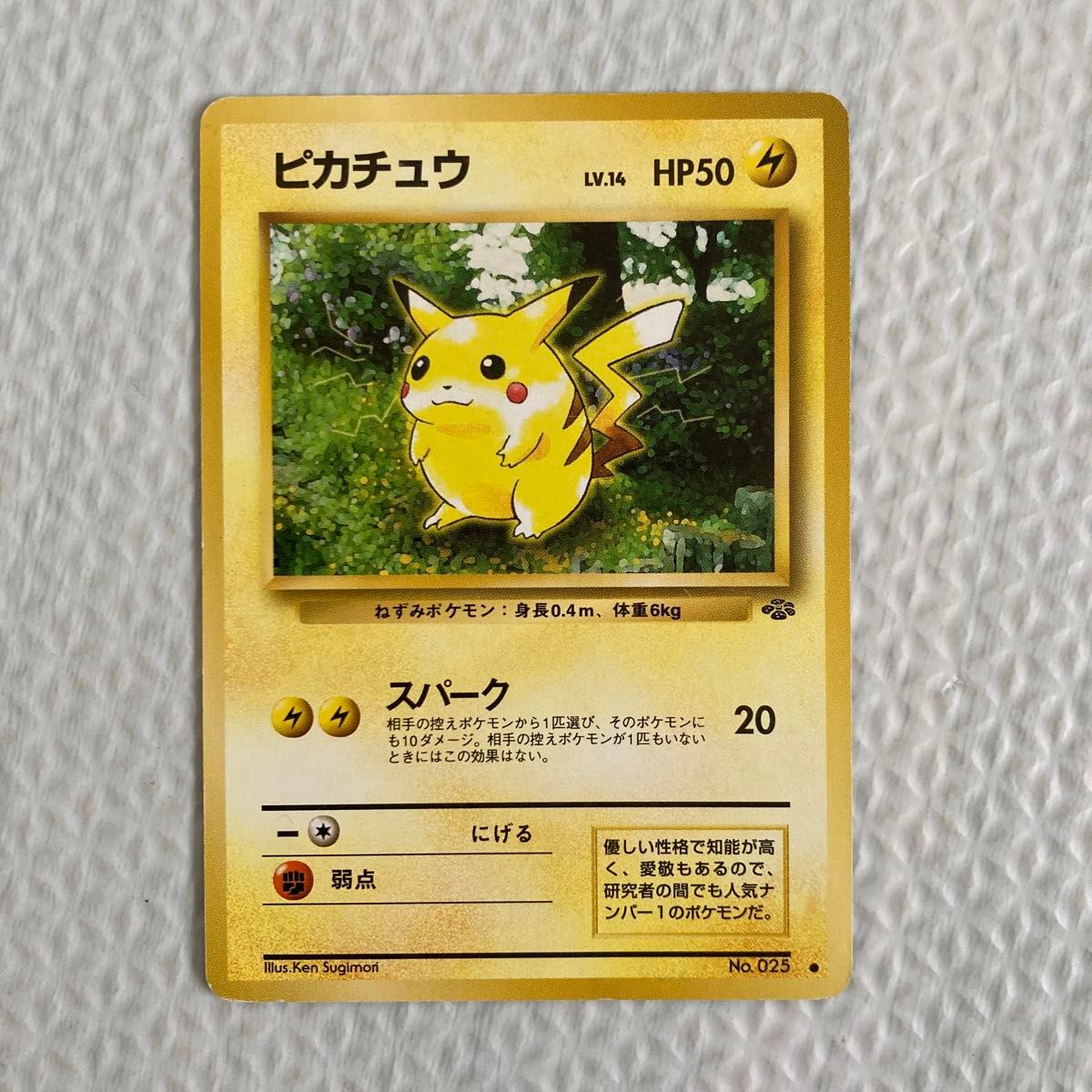 ポケモンカード ピカチュウ 旧裏面 旧裏 ポケカ マークなし ポケモンカード ピカチュウ 旧裏面 旧裏 ポケカ マークなし
