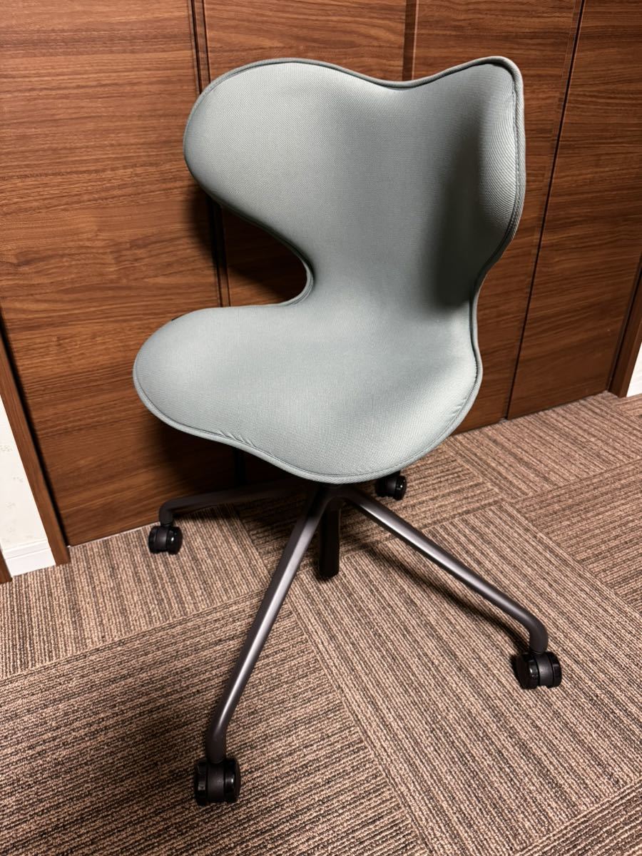 スタイル チェア MTG エムティージー　Style Chair SMC STCN_画像1
