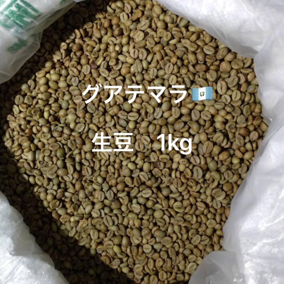グアテマラ　コーヒー豆　生豆　1kg