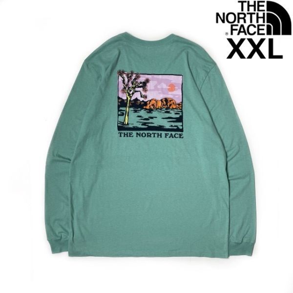 1円～!売切!【正規新品】THE NORTH FACE◆L/S GRAPHIC INJECTION TEE 長袖 Tシャツ ロンT US限定 バックプリント(XXL)緑 180902-5-c_画像1