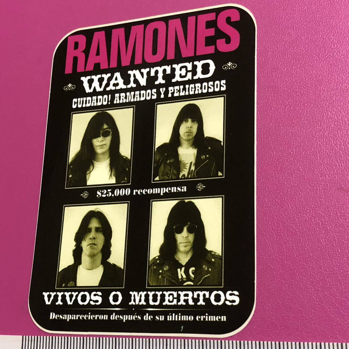 ラモーンズ Ramones ステッカー:NYパンクロック PUNK ブルーハーツ ロリータ18号 THE CLASH ダムド MODS ジョニーサンダース ミスフィッツ_画像4