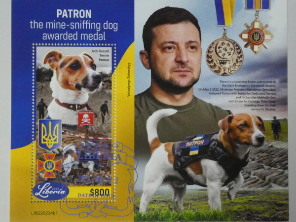 libe rear stamp [uklaina war ]( army for dog ) A